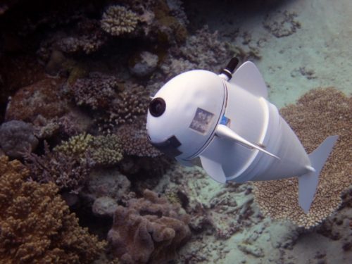 水下機器人 水下機器人